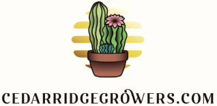 cedarridgegrowers.com